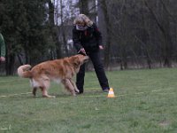 Bendix Obedience Workshop beim VdH Mauer 2016 (105)